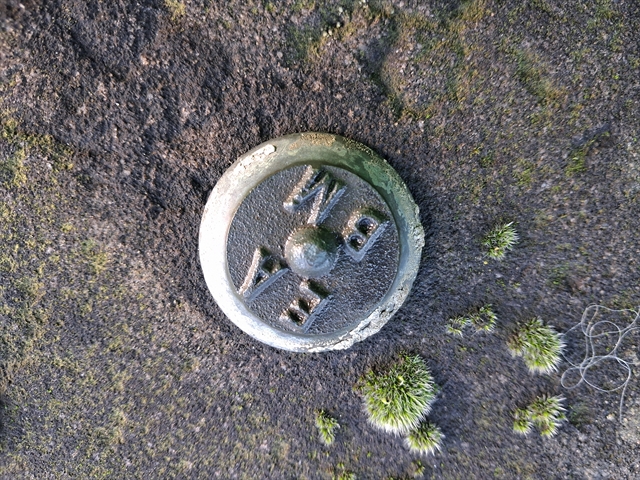 Environment Agency on Bridge parapet
